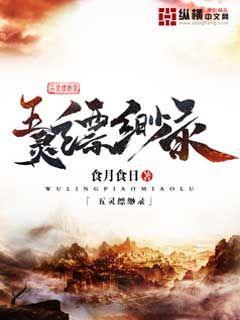 五灵缥缈录封面