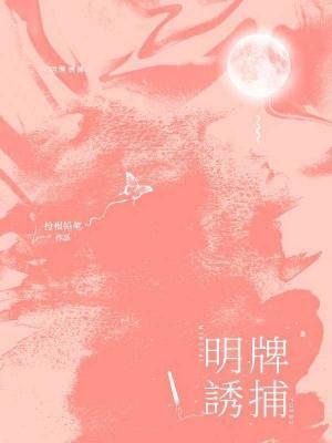 明牌诱捕封面