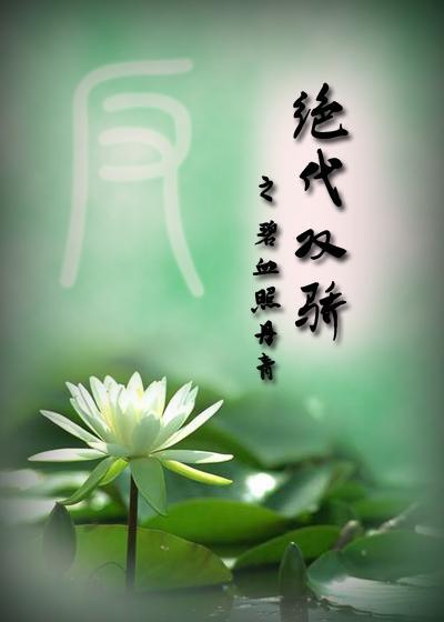 反·绝代双骄之碧血照丹青封面