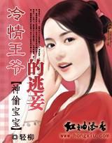神偷宝宝:冷情王爷的逃妾封面
