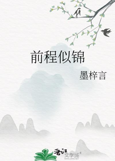 前程似锦封面