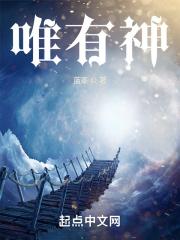 唯有神封面