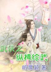 武侠之纵横综武封面