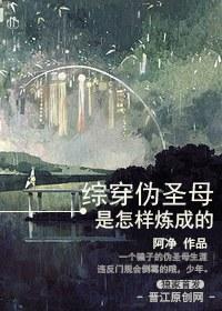 [综穿]伪圣母是怎样炼成的封面