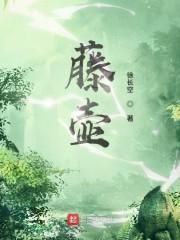 藤壶封面