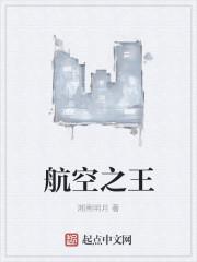 航空之王封面