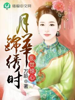乱世惊心：月华锦绣时封面