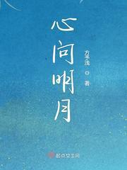 心问明月封面