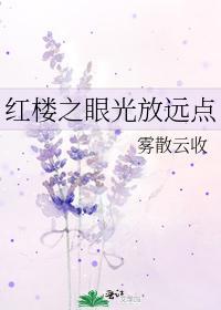 红楼之眼光放远点封面