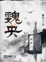 魏央封面