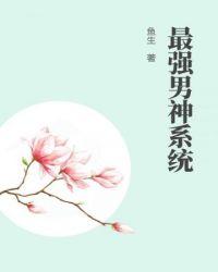 最强男神系统封面