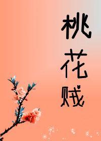 桃花贼封面