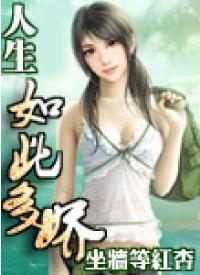 人生如此多娇封面