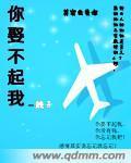 你娶不起我封面