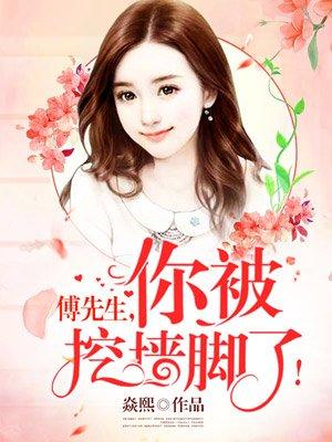 傅先生,你被挖墙角了!封面