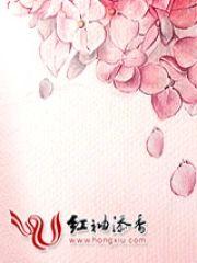 极致情危,高冷总裁不好追封面