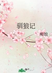 驯狼记封面
