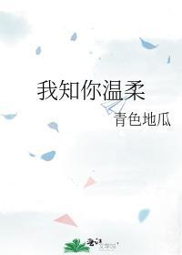 我知你温柔封面