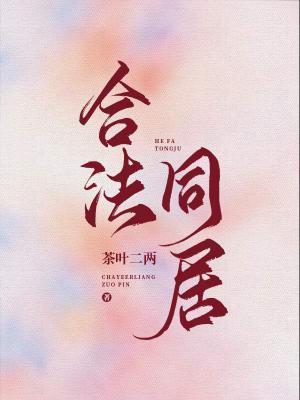 合法同居封面