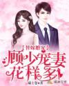 替嫁婚宠:顾少宠妻花样多封面