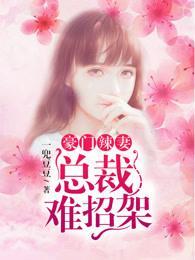 豪门辣妻：总裁难招架封面