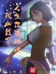 我加载了人生改造游戏封面