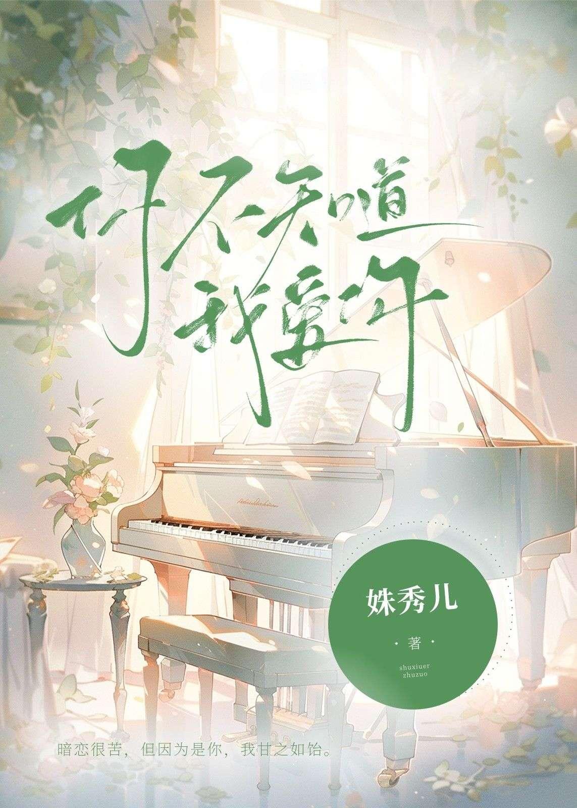 你不知道我爱你封面
