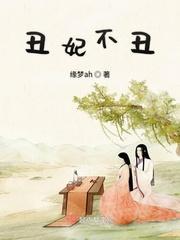 丑妃不丑封面