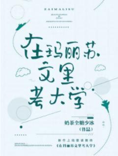 在玛丽苏文裏考大学封面