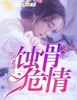 爱你入骨封面
