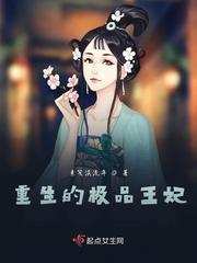 重生的极品王妃封面
