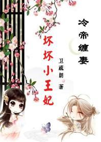 引发五国之乱:坏坏小王妃封面