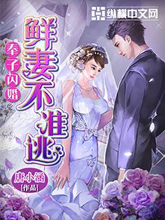 奉子闪婚：鲜妻不准逃封面