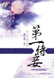 第一侍妾封面