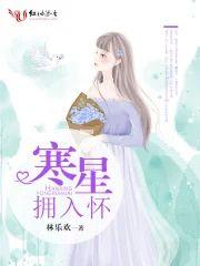 寒星拥入怀封面