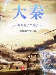 大秦有盛世封面