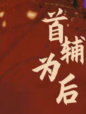 首辅为后封面