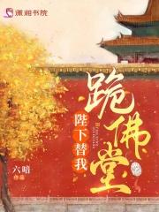 宫阙有时晴封面