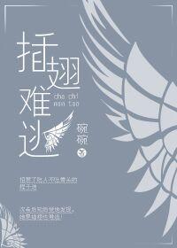 插翅难逃封面