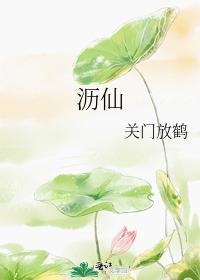 沥仙封面