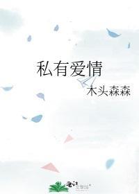 私有爱情封面