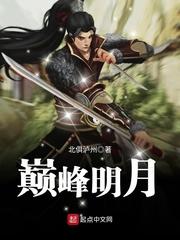 巅峰明月封面
