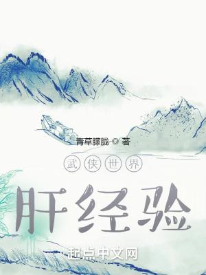 武侠世界肝经验封面