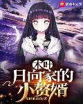 木叶:日向家的小赘婿封面
