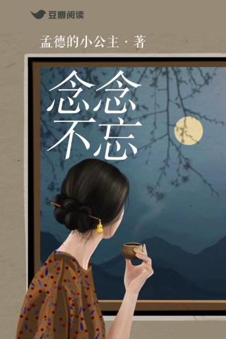 念念不忘封面