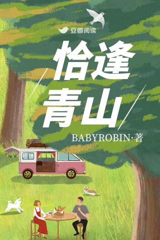 恰逢青山封面