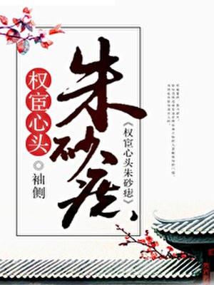 权宦心头朱砂痣封面