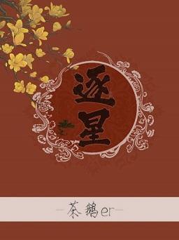 逐星封面