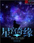 星宫奇缘封面
