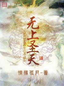 无上圣天封面